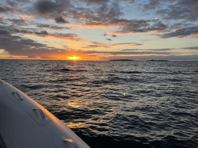 IMG_8427